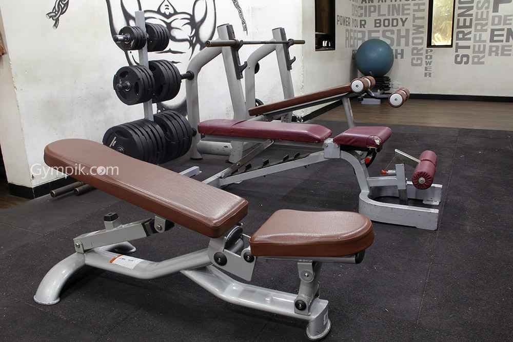 Powerhouse Gym In Mumbai Fitness Centers In India Gymchalo